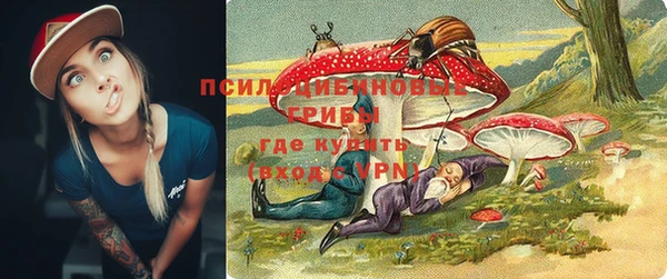 герыч Бородино
