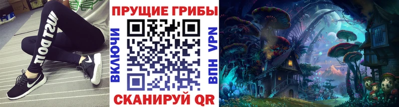 Галлюциногенные грибы прущие грибы  Купить где  Чулым 